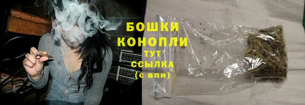 ГАЛЛЮЦИНОГЕННЫЕ ГРИБЫ Алексеевка