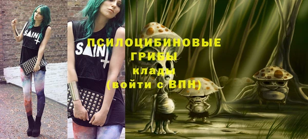 ГАЛЛЮЦИНОГЕННЫЕ ГРИБЫ Алексеевка